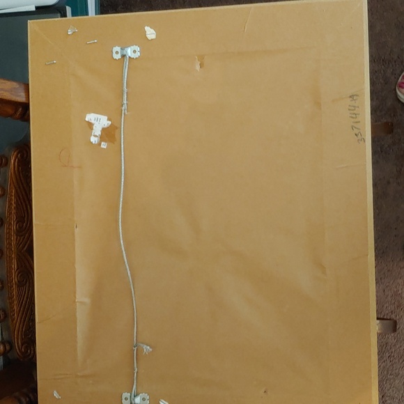 20.5 x 16.5. Framed Chickens picture - Picture 2 of 2